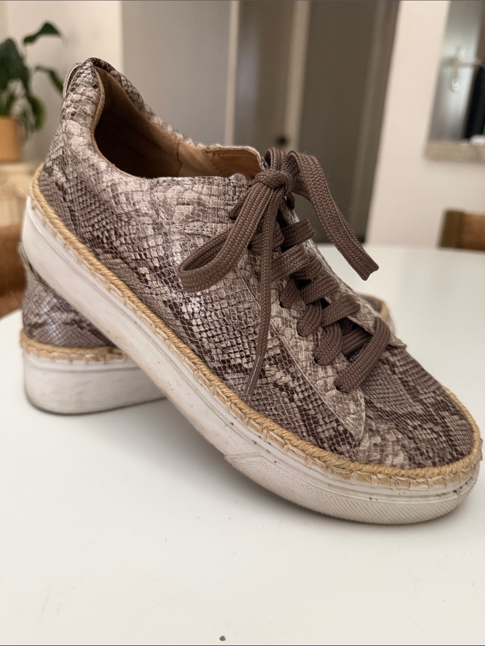 Susina Nordstrom Taupe Snake-Print Sneakers! Size 6!